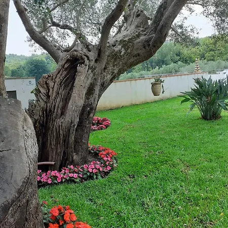 Country house Bel Tempio *